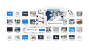 screenshot of Brand iQ